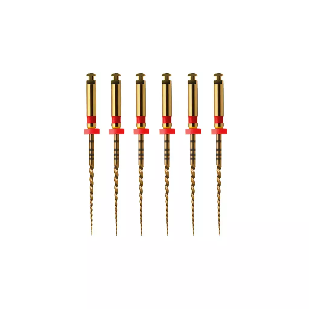 Limas Recip-One R25 25 mm Rogin x 6 u.